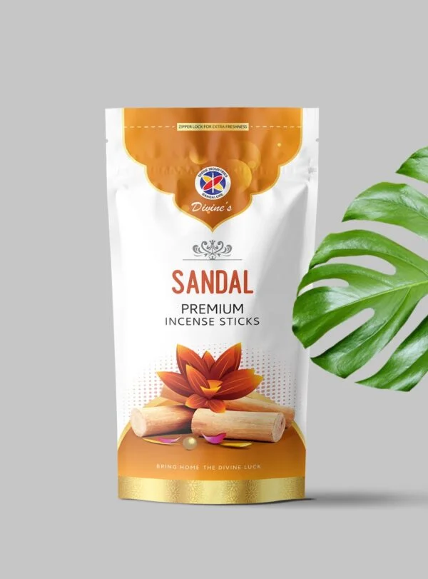 Divine's Sandal