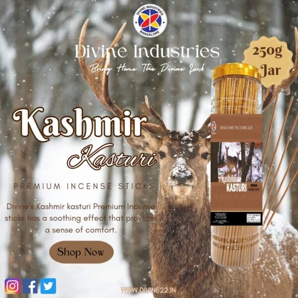 Divine's Kashmir Kasturi Incense Sticks Jar